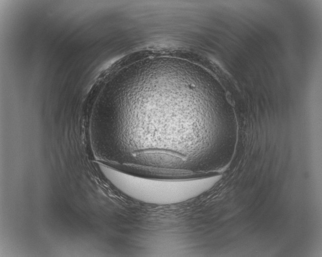 X0000062921016200601271800