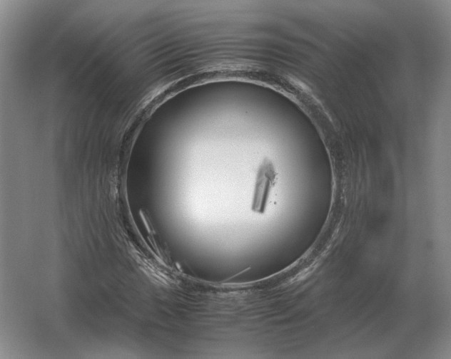 X0000062921017200601271800