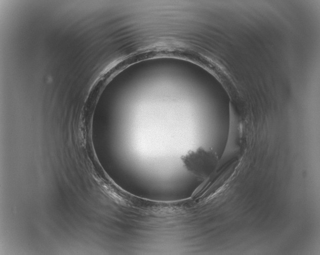 X0000062921018200601271800