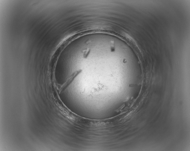 X0000062921019200601271800