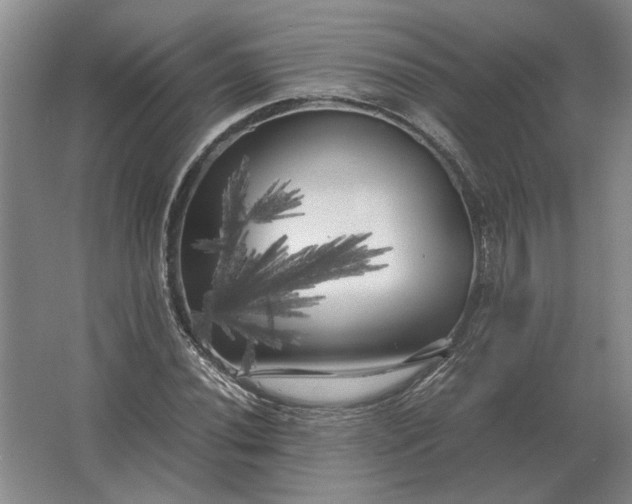 X0000062921020200601271800