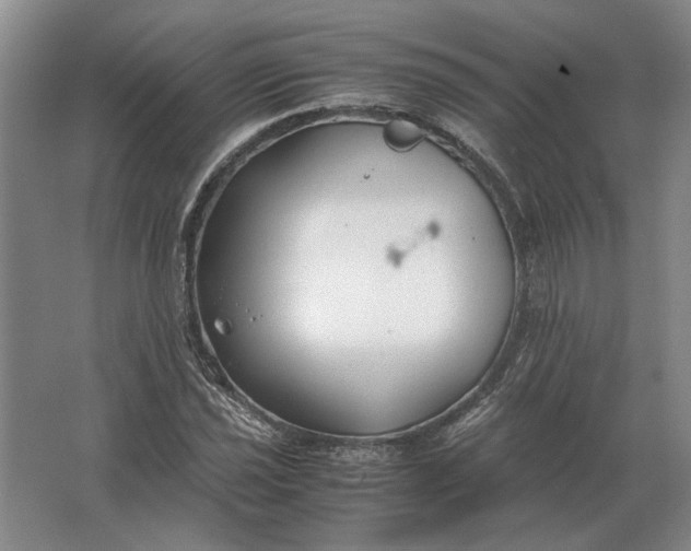 X0000062921021200601271800