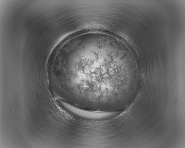 X0000062921022200601271800