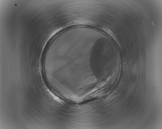 X0000062921024200601271800