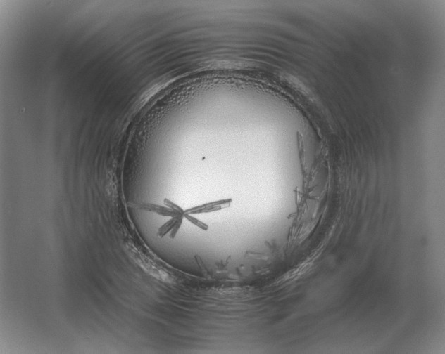 X0000062921025200601271800