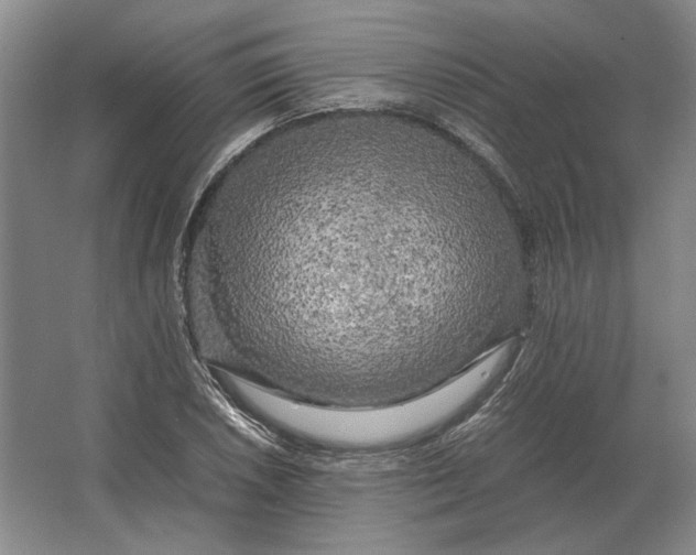 X0000062921026200601271800