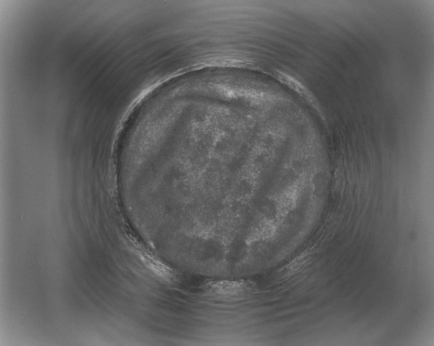 X0000062921027200601271800