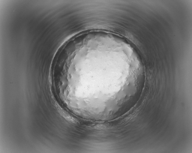 X0000062921028200601271800