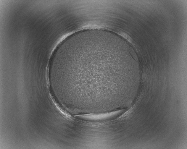 X0000062921030200601271800