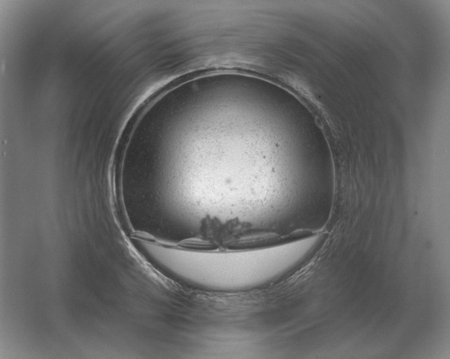 X0000062921032200601271800