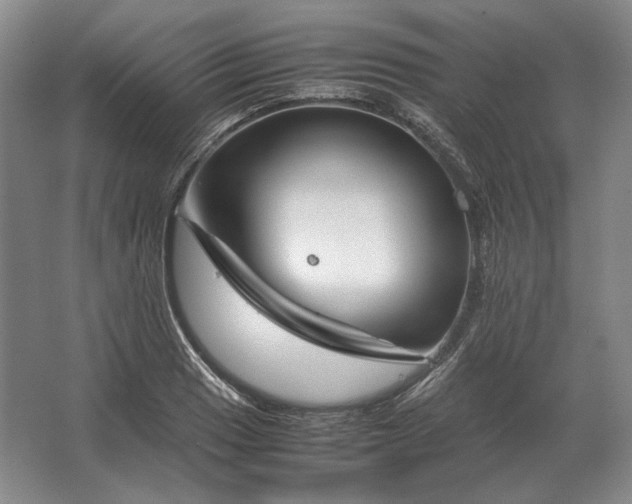 X0000062921033200601271800