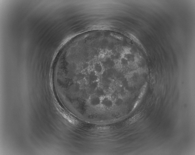 X0000062921035200601271800