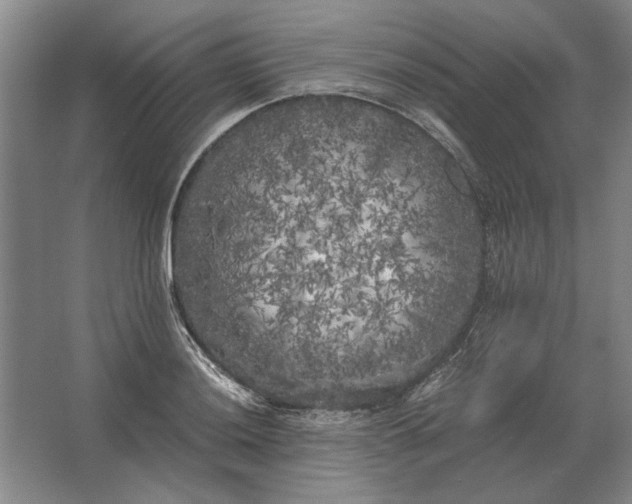 X0000062921036200601271800