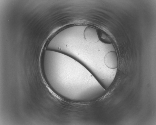 X0000062921037200601271800