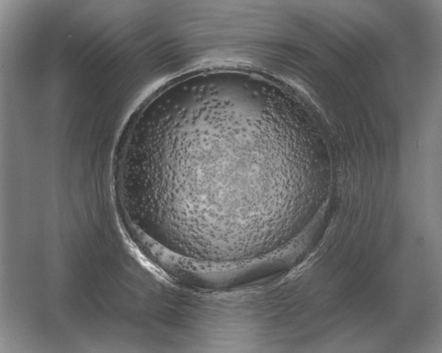 X0000062921038200601271800