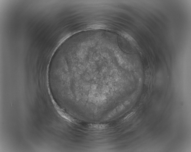 X0000062921039200601271800