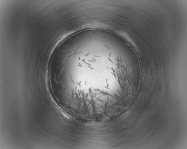 X0000062921040200601271800