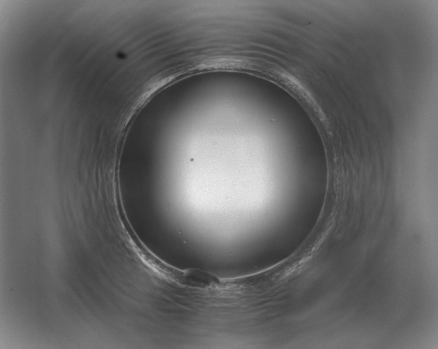 X0000062921041200601271800