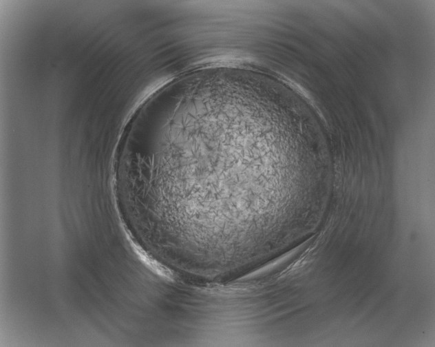 X0000062921042200601271800