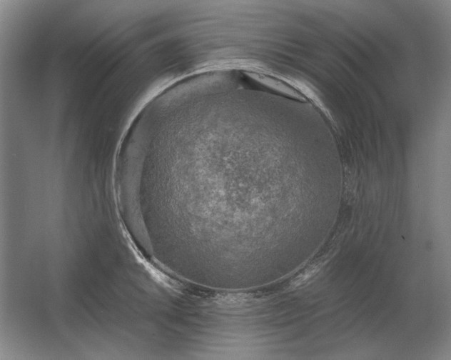 X0000062921046200601271800