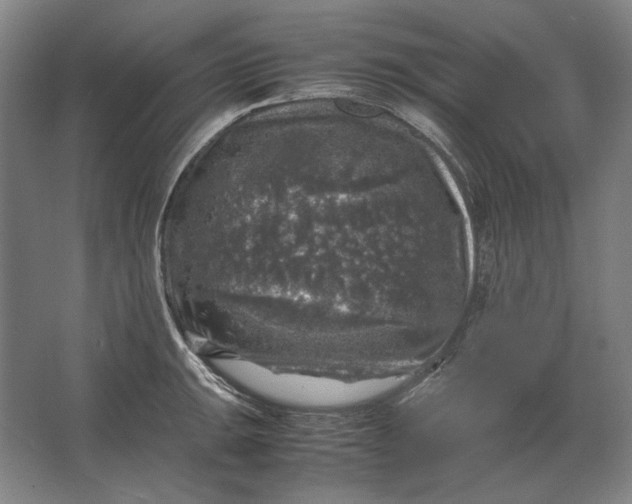 X0000062921047200601271800