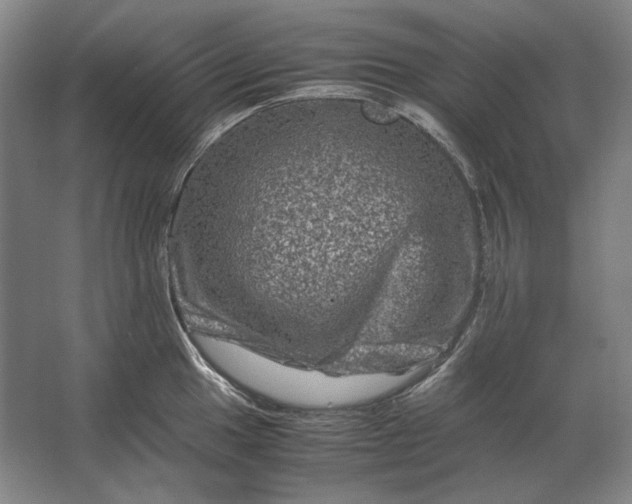 X0000062921049200601271800