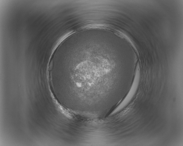 X0000062921050200601271800