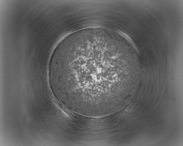 X0000062921051200601271800