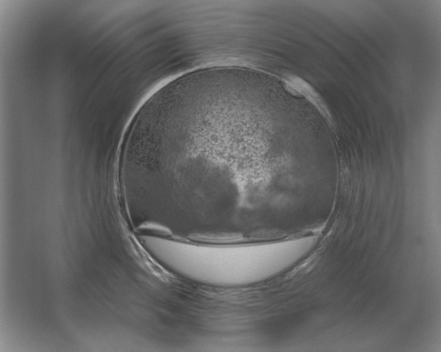 X0000062921052200601271800