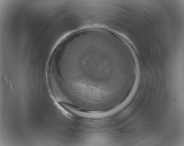 X0000062921054200601271800