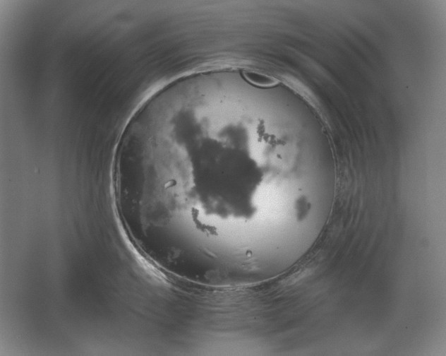 X0000062921055200601271800