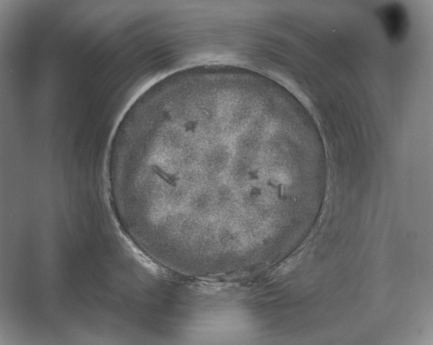 X0000062921056200601271800