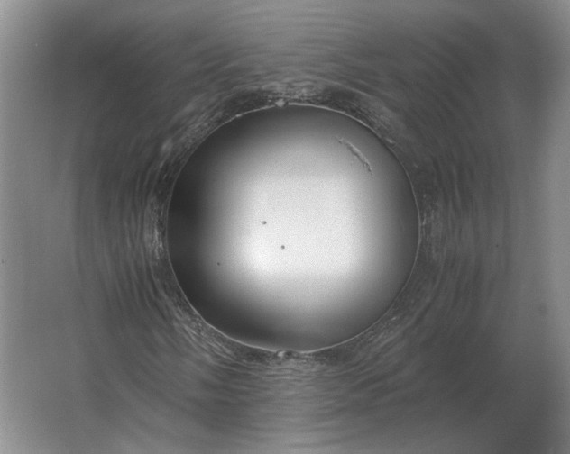 X0000062921058200601271759