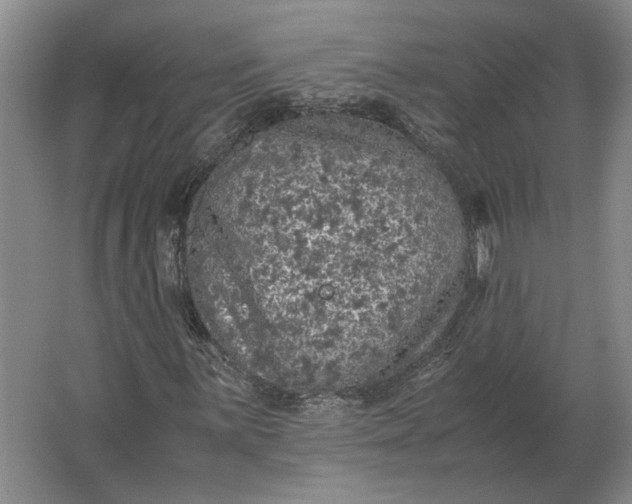 X0000062921059200601271759