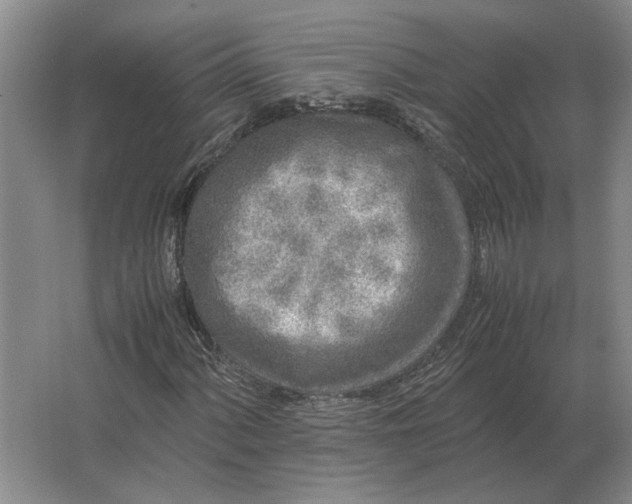 X0000062921060200601271759