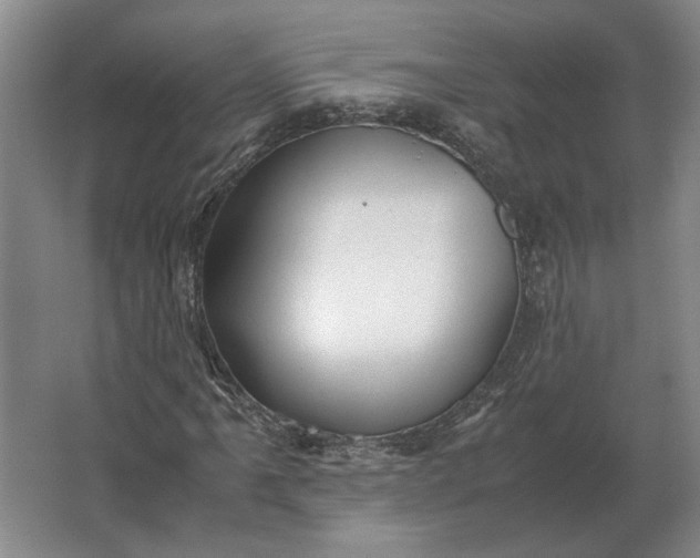 X0000062921061200601271759