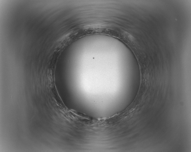 X0000062921062200601271759