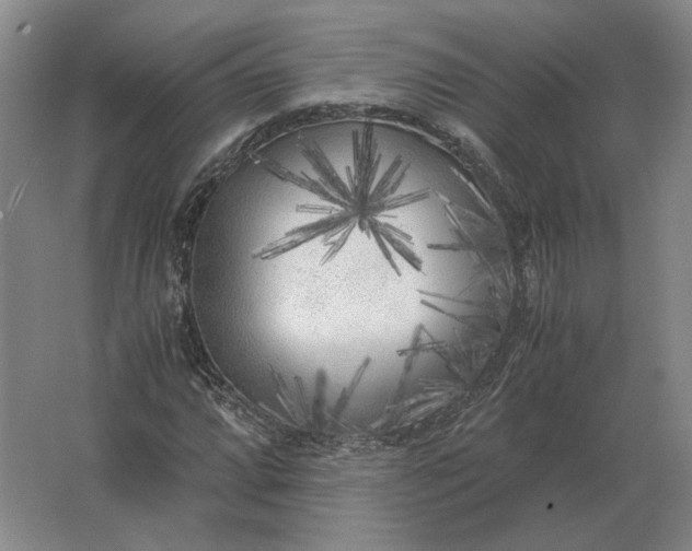 X0000062921064200601271759