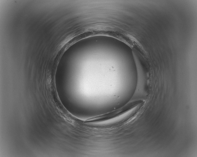 X0000062921065200601271759