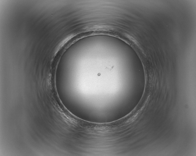 X0000062921066200601271759