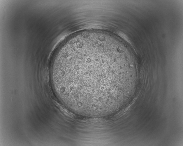 X0000062921067200601271759