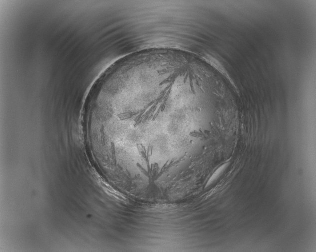 X0000062921068200601271759