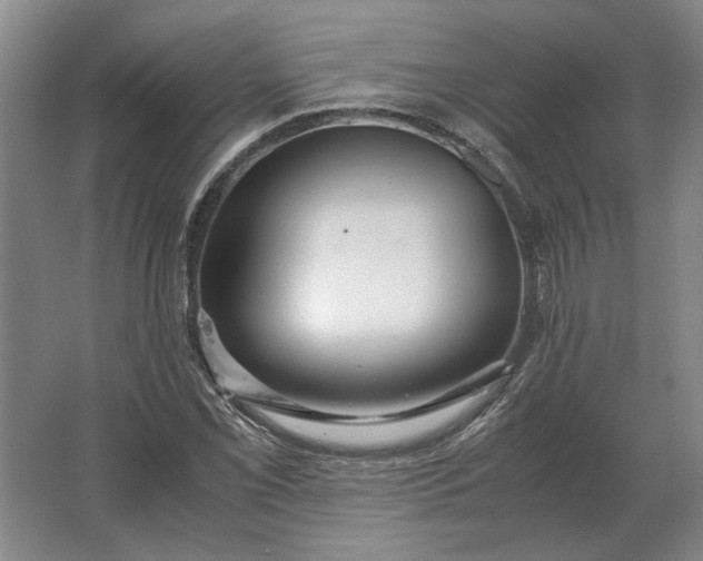 X0000062921069200601271759