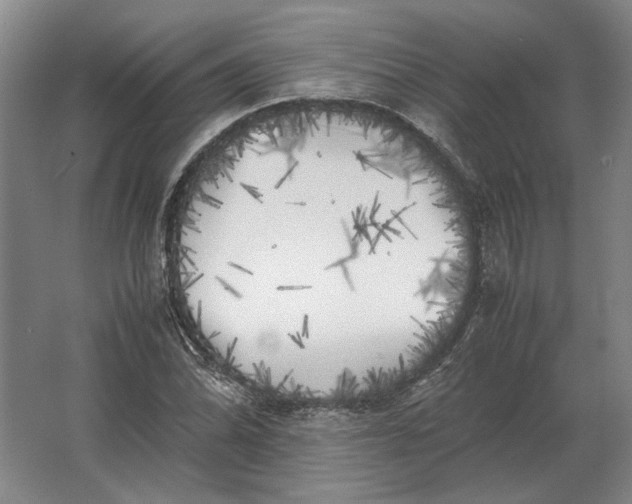 X0000062921070200601271759