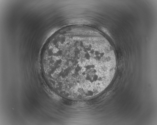 X0000062921071200601271759