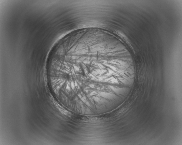 X0000062921072200601271759