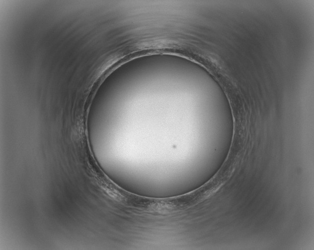 X0000062921073200601271759