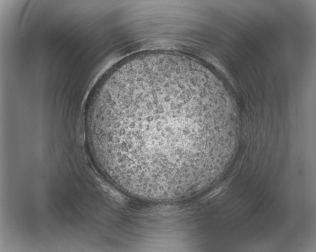 X0000062921075200601271759