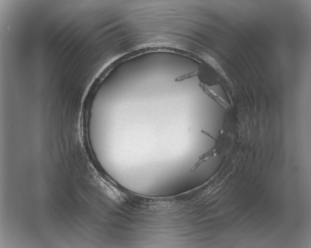 X0000062921076200601271759