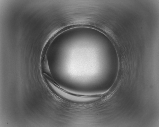 X0000062921077200601271759